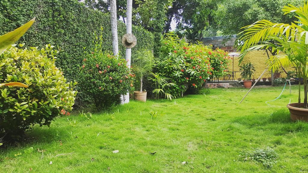 Hostal El Jardin Leon Ngoại thất bức ảnh